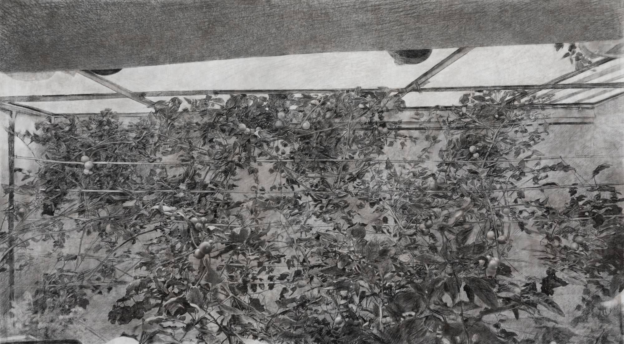 the right to a ... This section attempts, 2020, cărbune si creion de carbon pe pânză, 175 x 317 cm., cu acordul artistei și al Mind Set Art Center